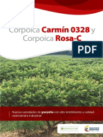Corpoica y Corpoica: Carmín 0328 Rosa-C