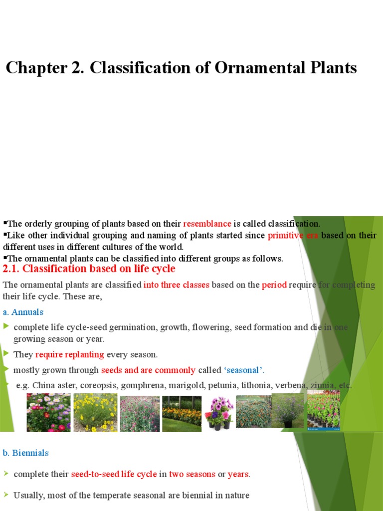 Chapter 2. Classification of Ornamental Plants PDF Perennial Plant