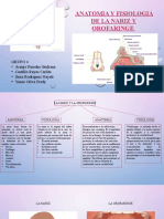 Anatomia Y Fisiologia de La Nariz Y Orofaringe