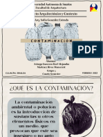 Proyecto Arquitectónico y Contexto: Contaminación