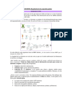 Regulación de La Expresión Génica UADE