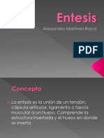 Entesis ExPo