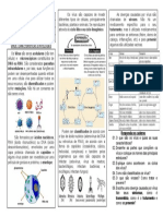 6 ETAPA (Vírus, Suas Características e Patologias)