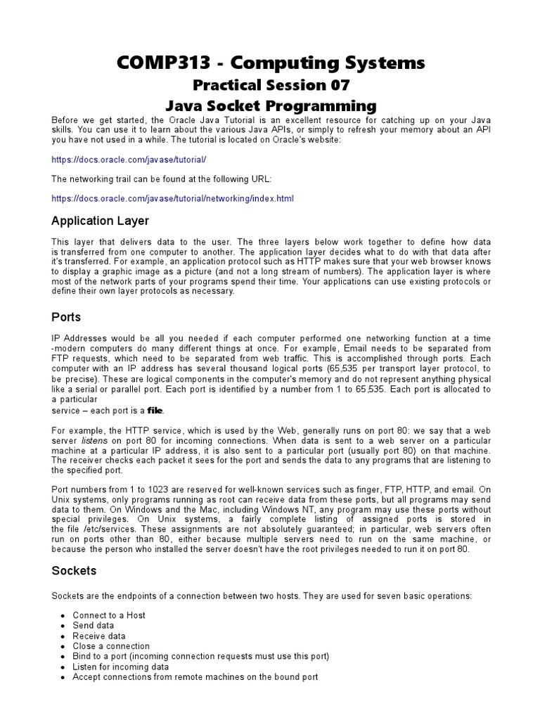 Practical 07 java socket programming pdf port computer