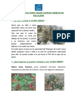 ¿En Qué Consiste El ACODO AÉREO?: Guia Practica para Hacer Acodos Aereos de Polylepis