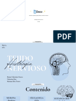 Histologia Sistema Nervioso 357412 Downloable 1710149