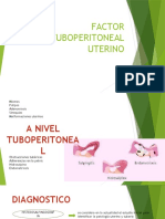 Factor Tuboperitoneal Uterino