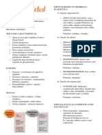 Especialidades da membrana plasmática