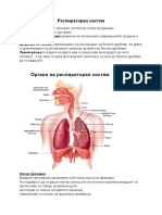 Респираторен систем