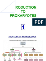 TO Prokaryotes