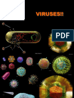 Viruses!!