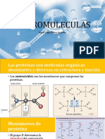 Macromoleculas