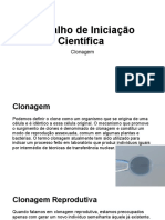 Trabalho de Iniciação Científica