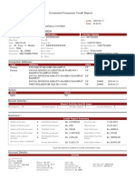 Consented Consumer Credit Report: Personal Information Identification Contact Details