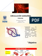 Circulación Sanguínea: Fisiologia