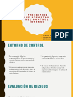 Principios Que Soportan Del Control Interno: Auditoria 1