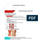Anatomia do Abdome: Músculos e Estruturas