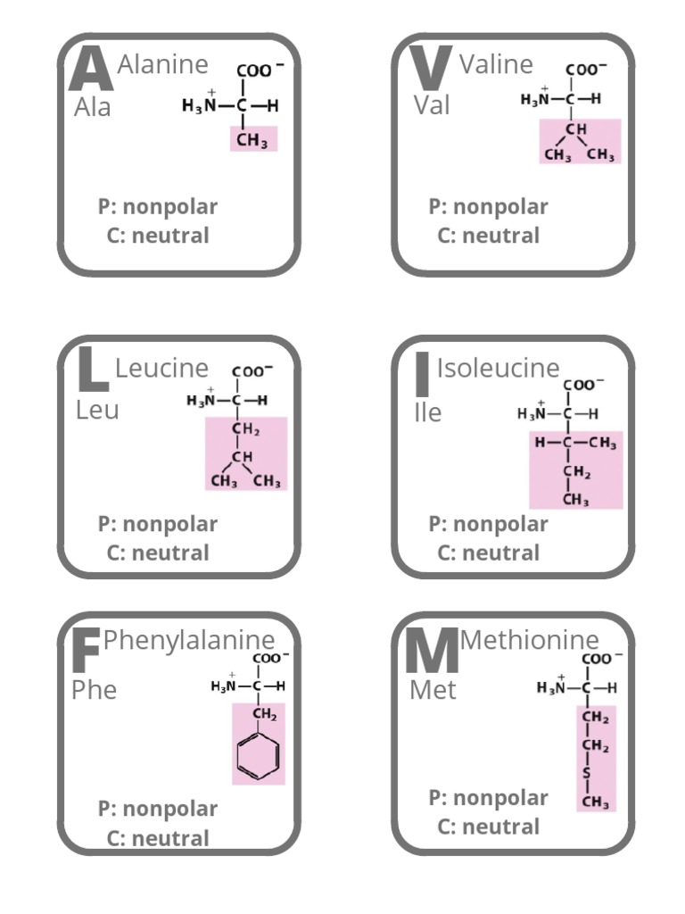 Amino Acids - Flashcards-1 | PDF