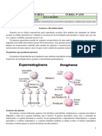 Gametas e Leis de Mendel