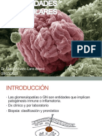 Glomerulopatías 40 resume de manera concisa y optimizada para  el contenido del documento sobre clasificación y mecanismos de las glomerulopatías
