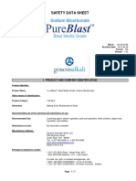 144 55 8 PB PureBlast Bicarb SDS v102