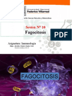Sesión #10: Fagocitosis