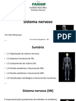 Aula 5 - Sistema Nervoso