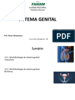 Aula 12 - Sistema genital