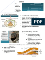 Para Respiración