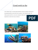 Examples Coral Reefs in The Caribbean