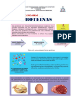 Ficha de Proteinas