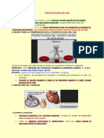 Fisiopatología del IAM: Causas, factores de riesgo y consecuencias