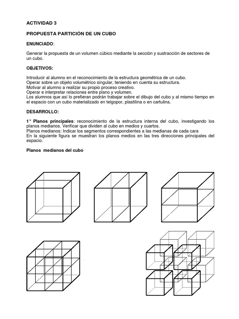 Actividad 3 - Propuesta Particion de Un Cubo | PDF
