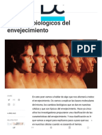 Cambios Biológicos en El Envejecimiento - Dciencia