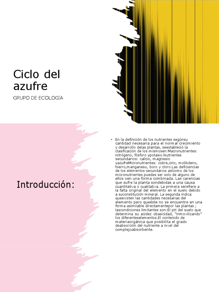 Ciclo Del Azufre PDF Nutrientes Azufre