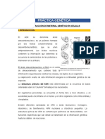 Práctica Genética: Extracción de Material Genético en Células I. Introduccion