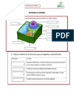 4.1 - Ficha Practica