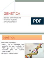 Genética: Genes - Cromosomas Mitosis, Meiosis Gametogenesis