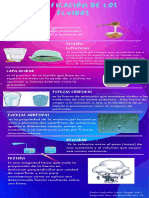 Clasificación de Los Fluidos