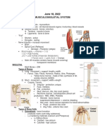 Musculoskeletal System