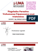 Clase 5-Parasitologia