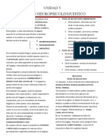 Modelo Neuropsicolinguistico: Unidad V