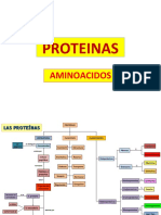 Las 20 proteínas y sus funciones