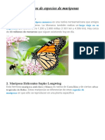 10 Tipos de Especies de Mariposas: 1. Mariposa Monarca