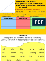 Gender & Regular Adjectives