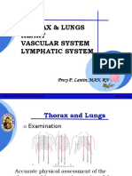(MT3) Thorax Lungs Heart Vascular Lymphatic