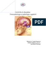 Portofoliu La Disciplina Neuropsihologie