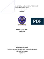 Analisis Gambaran Topogram Pada Diagnosa Tumor Paru Menggunakan Ct-Scan Seminar