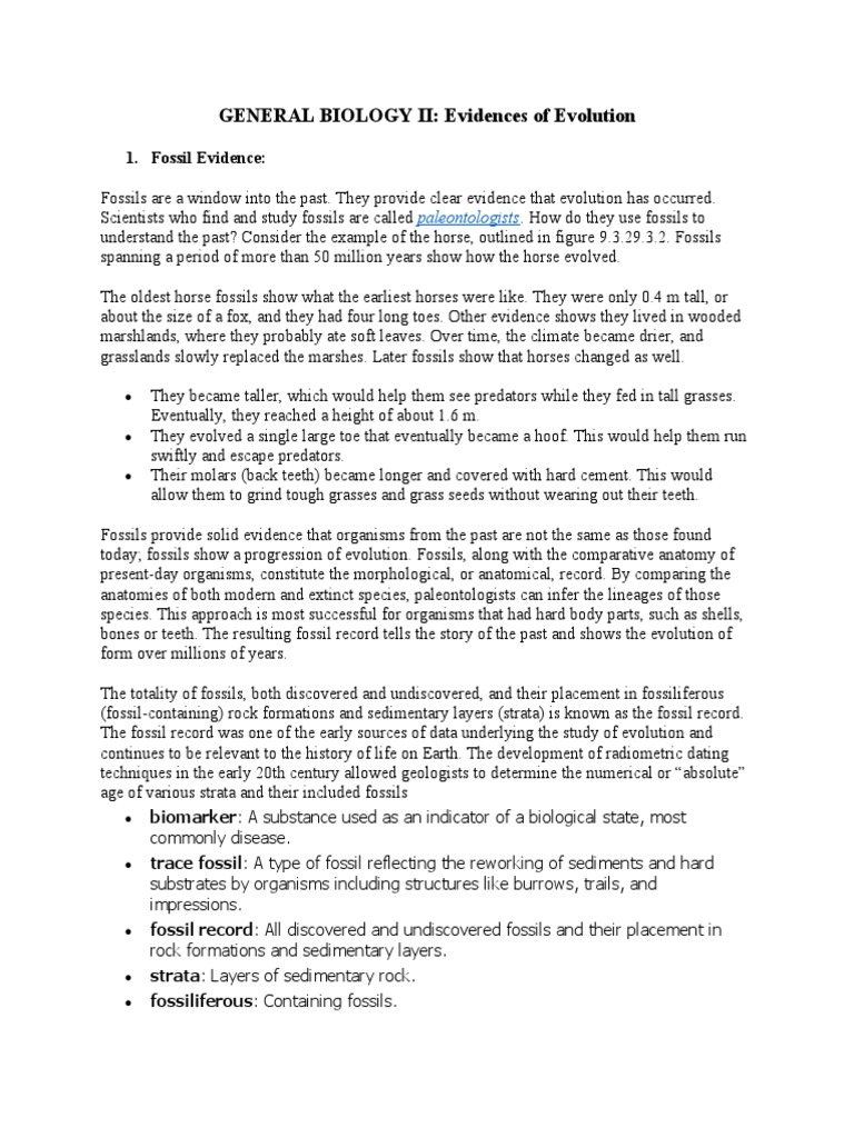 Evidence of Evolution: Fossils & Anatomy | PDF | Gene | Fossil