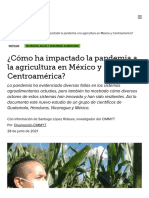 ¿Cómo Ha Impactado La Pandemia A La Agricultura en México y Centroamérica?